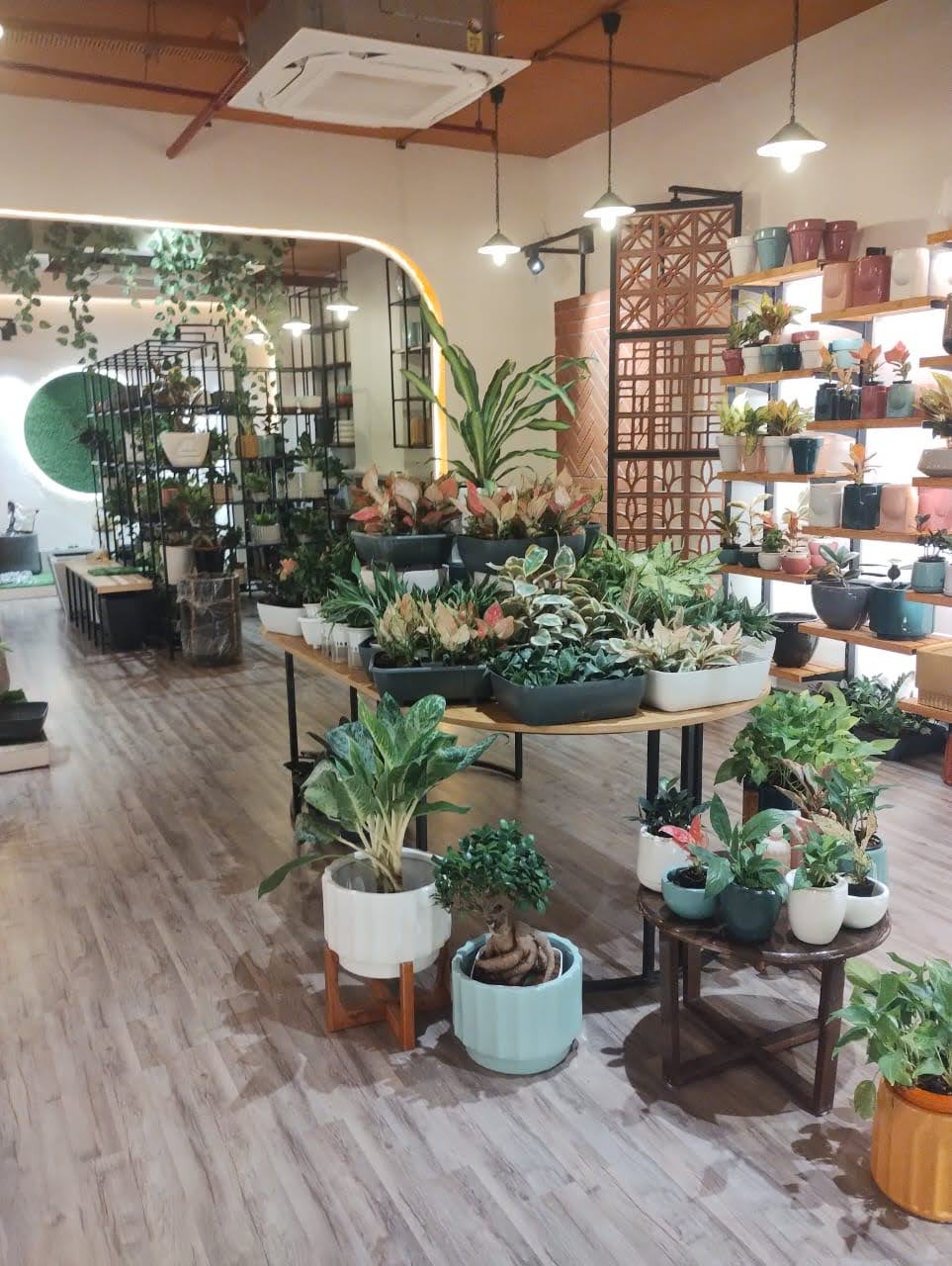 Plants at the center and around everything.